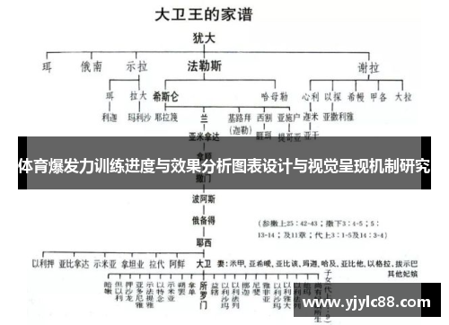 体育爆发力训练进度与效果分析图表设计与视觉呈现机制研究
